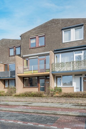 AAP 2026 ODHH 0218 002.jpeg